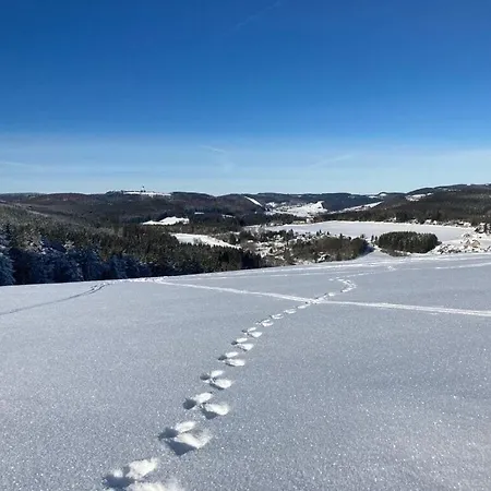Uitzicht Op De Bergen Stryck
