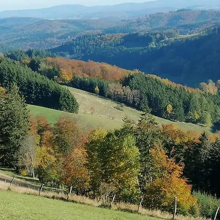Uitzicht Op De Bergen Chalet