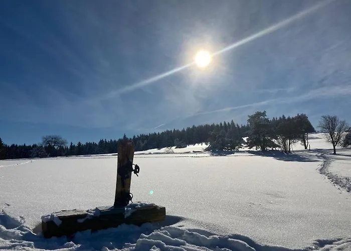 Uitzicht Op De Bergen