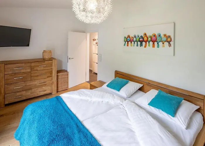 Uitzicht Op De Bergen *