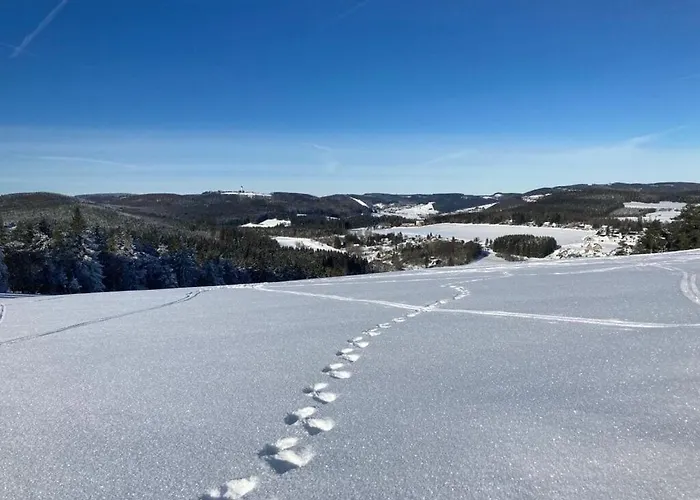 Uitzicht Op De Bergen Stryck